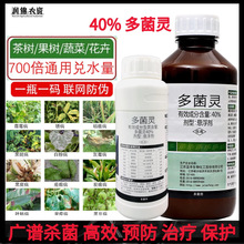 40%����`���������ܑҸ��������{�S�߲˹����¼��rș��������