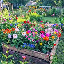 Ұ���M�ϻ��N���ļ����N�_�����׻��^�pͥԺ�����ݶ��������N��