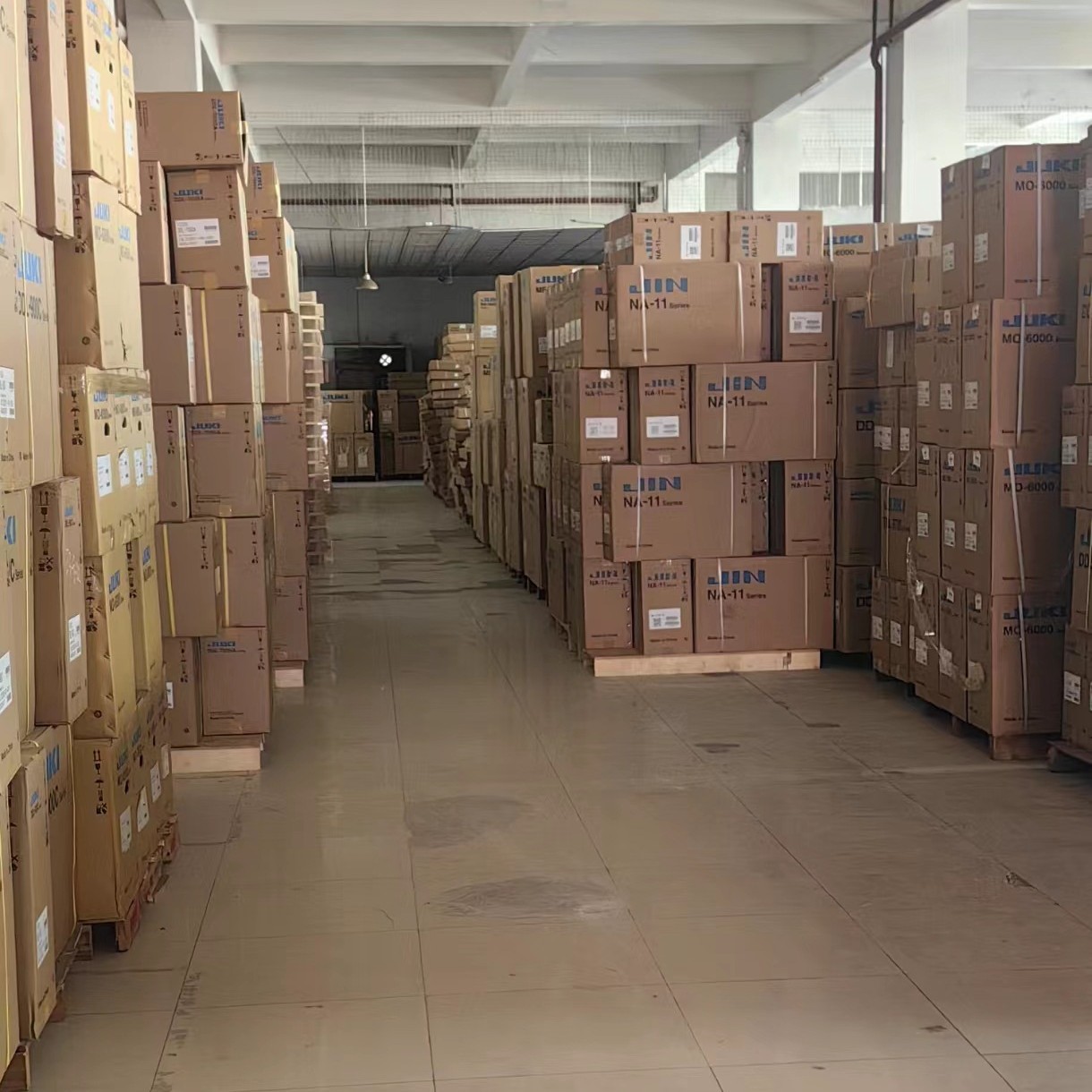 2024-10-19 23:12:29.jpg