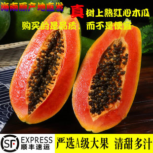 �V�ݽ������l����S��ţ��ľ�ϱ�������Ƥ��Ȼ���ؼ�����������