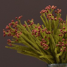 南洋杉仿真植物批发仿真松针莎藻松家居装饰假花插花珊瑚果绿植