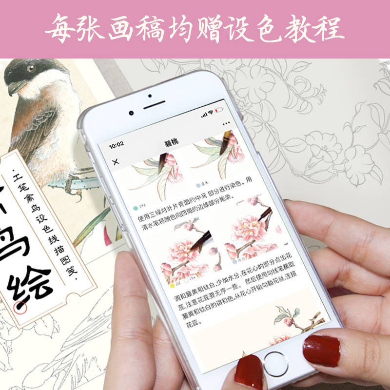 飞乐鸟白描底稿工笔画涂色古风花卉临摹套装初学者国画手绘宣纸|undefined