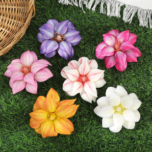 �羳�W���¿�3D�ָ��F��ɏ�l�A�����ׁ���l�A��c����P�^�l�A