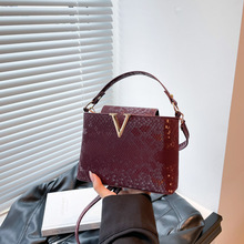 大容量新款纯色蛇纹2025夏季休闲字母五金质感手提单肩斜挎小方包