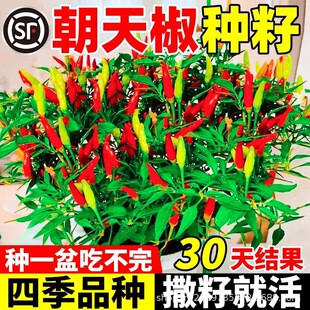 ���콷�N������С��������N���ļ��Nֲ���Ԏ����ཷ�߲������ȫ