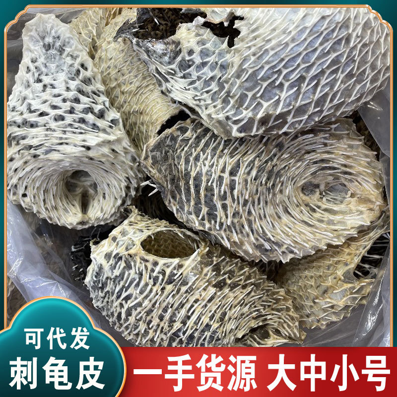 一手货源海刺猬皮海胆皮鸡泡鱼皮煲汤材料刺鱼皮刺龟皮批发