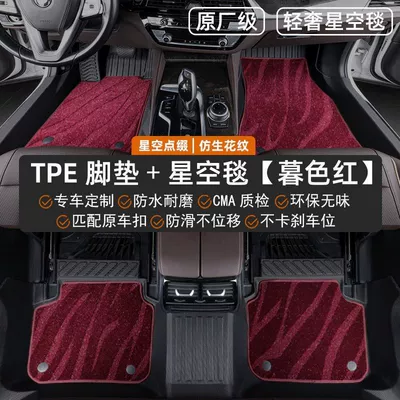 Modelə uyğun ayaqaltı | Surrounded Original Door Sill - tiggo-8plus-cdm-24-25-models-five-seats-double-layered-best-selling-model-tpe-floor-mats-burgundy-starry-sky-blanket