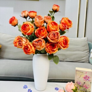 ����õ�廨���ƽ�����ѩ���G�lOEM֧��ODMԴ�^���S֧�ִ��