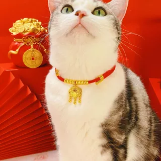 爆款新年宠物猫项圈可调节狗项链长命福锁猫咪龙年喜气围脖犬用品
