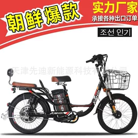 电动自行车;其他电动车