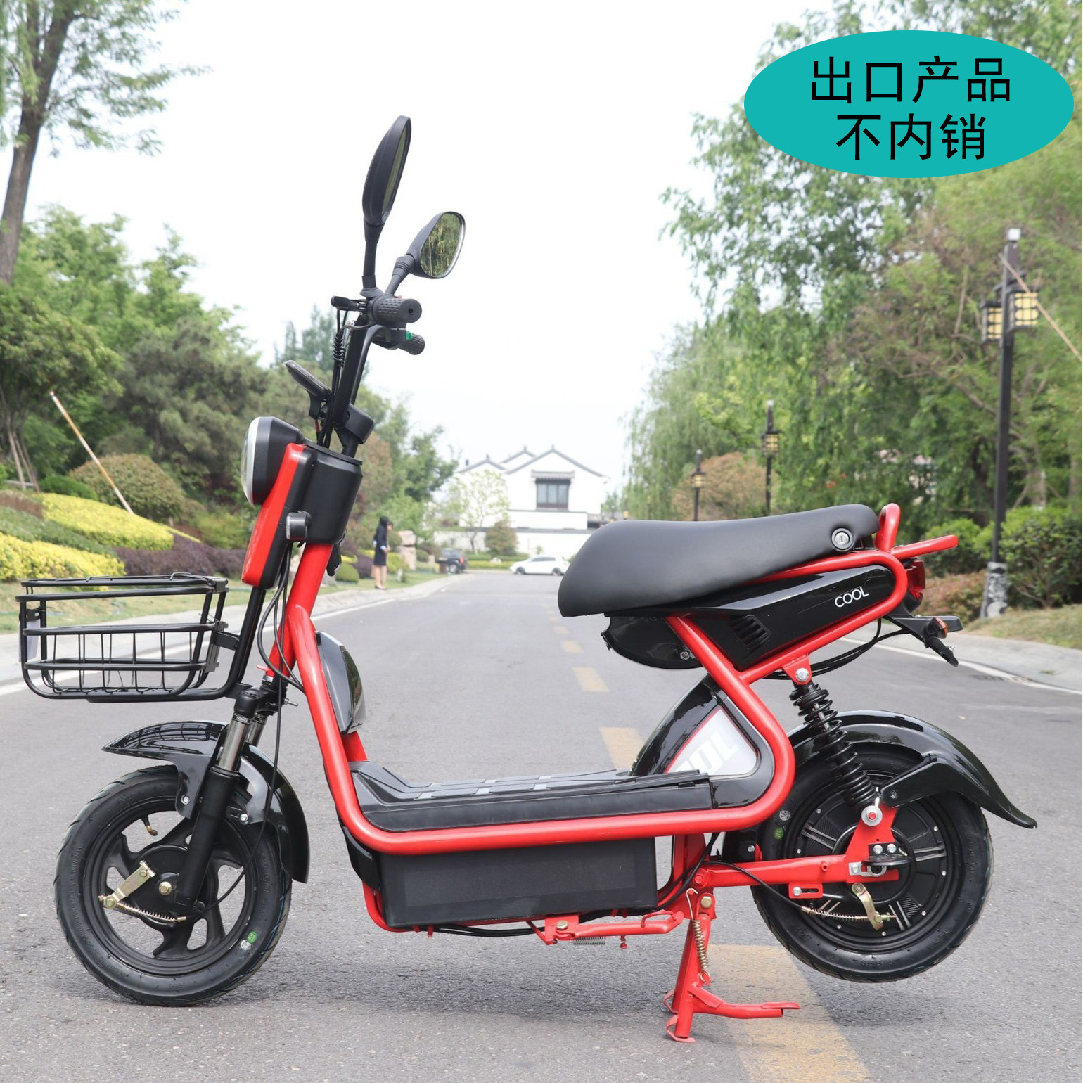 Electric car for adults