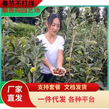 ����2������� �߶�1�����ϼ޽������� �m���ϱ����S�a��������
