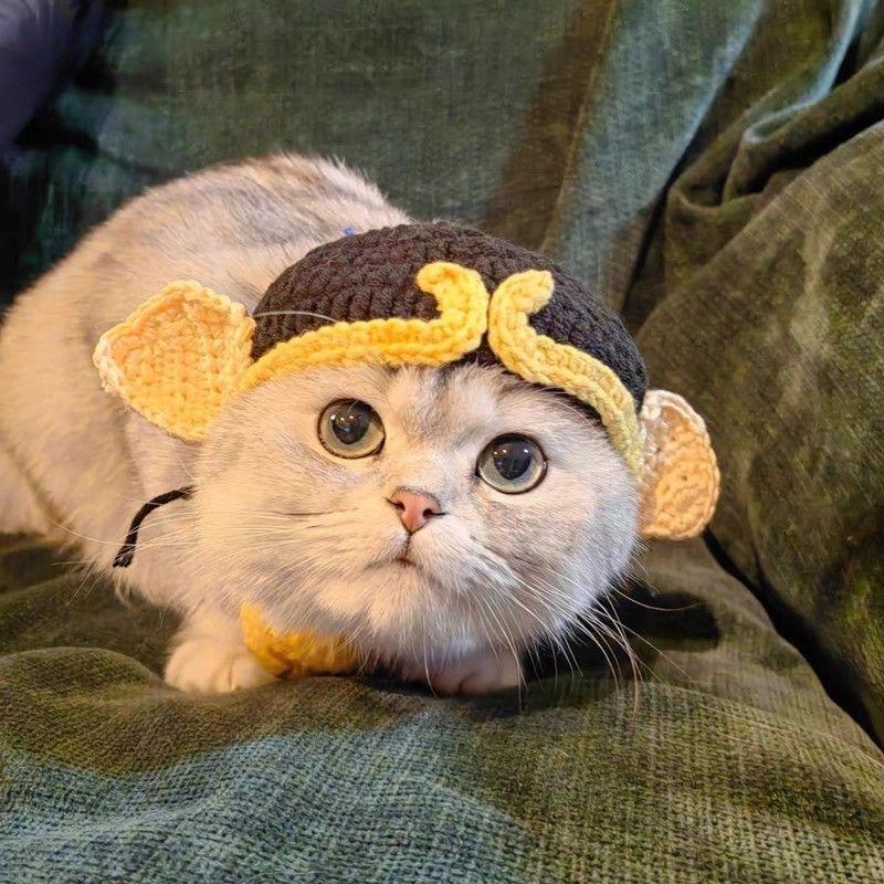 宠物头套猫咪狗狗编织帽子道具头饰搞笑变身服批发|undefined