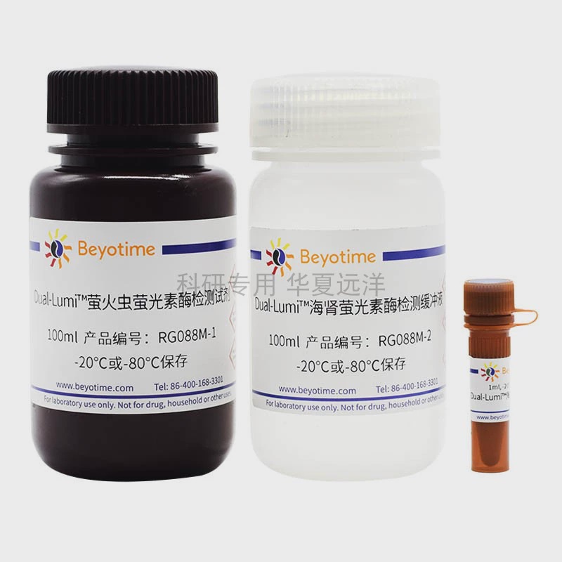 RG088S-100次，Dual-Lumi™双萤光素酶报告基因检测试剂盒