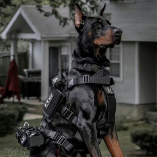 Dog Anti-Bite Muzzle Anti-Bite Doberman Tactical Muzzle Explosion-Proof Horse Dog Hound Working Dog Training Equipment