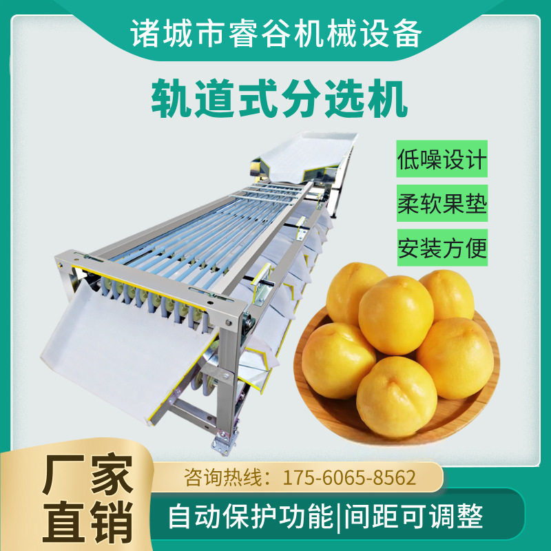 黄桃选果机新款橙子圣女果青枣金桔槟榔百香果李子桃子分级筛选机