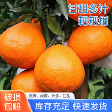 ���r�ҰҸ̬F�ɬF�l�󖑸����Ӯ������r���ّ�������֭���۸���