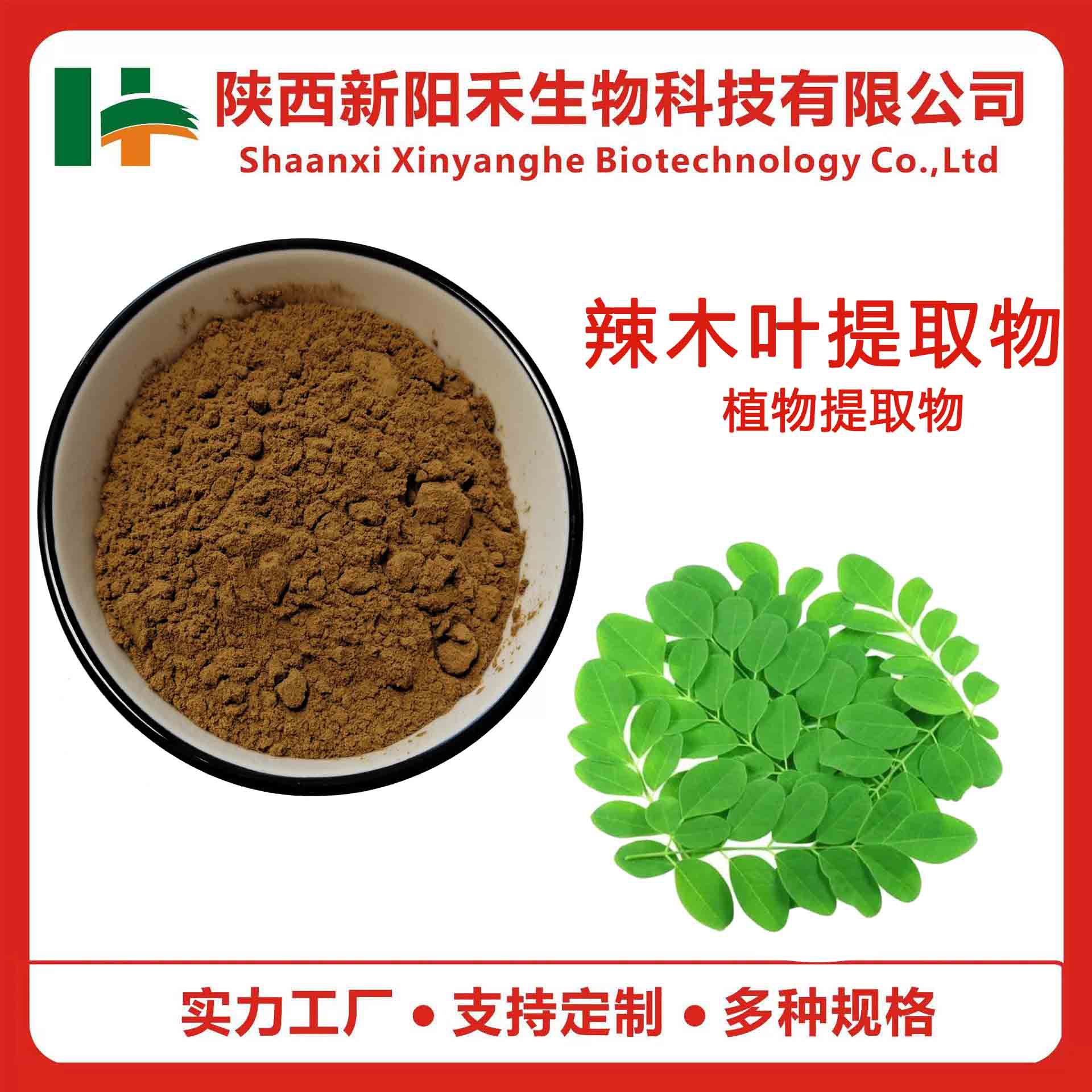 辣木叶提取物  辣木叶多糖粉 辣木提取物  辣木多糖粉 新阳禾