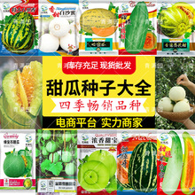 ���l�������Ƥ��ϷN�ӱ��Ǵ��������Ƥ�������������ϷN��