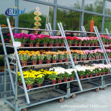 SֱNƄӻ܇չʾ܇  zϰ廨̨܇