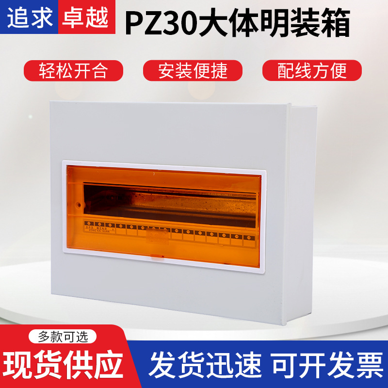 PZ30明装回路箱 户内挂墙开关配电箱 家用空开断路强电箱