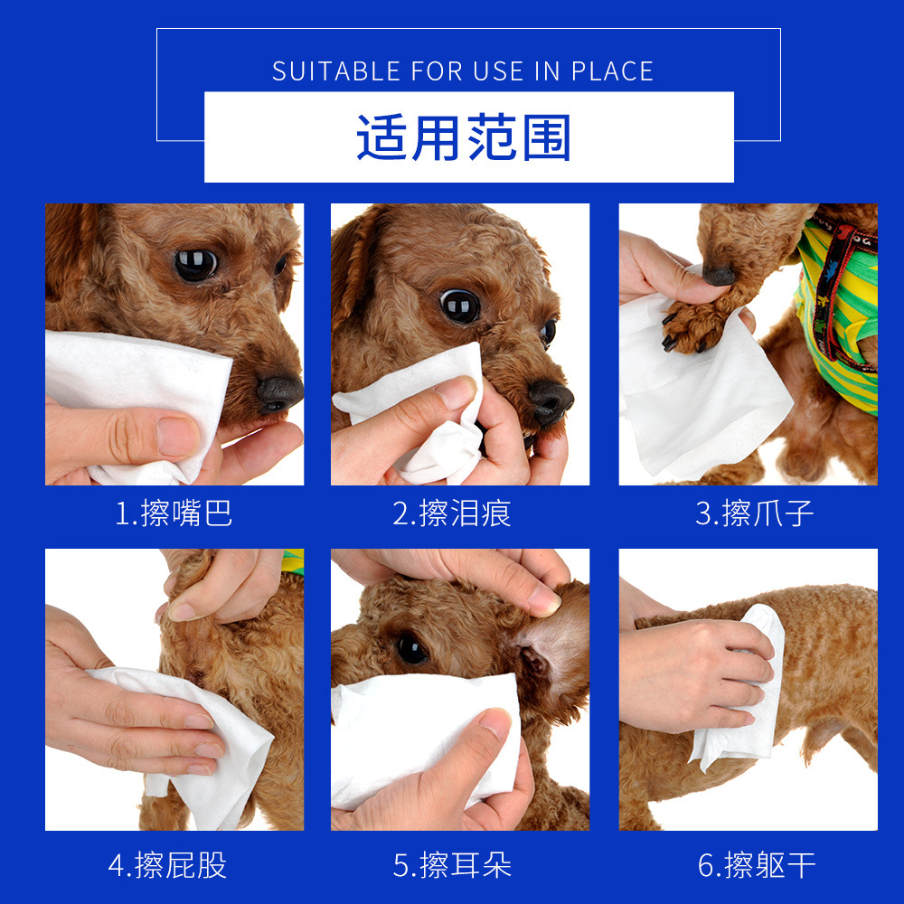 Iris Toallitas para mascotas 80 cajones Teddy Golden Retriever toallitas para perros toallitas para gatos