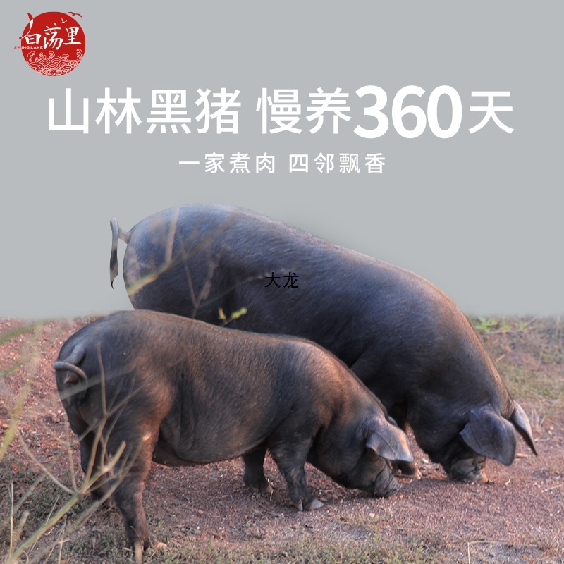 白荡里黑猪肋排边软骨带硬骨1000g/2000g山林散养土猪生猪肉生