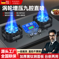 ドイツ純正激しい火災ガスストーブダブルストーブ家庭用9キャビティダイレクトスプレー埋め込み天然ガスデスクトップ液化ガスダブルストーブ