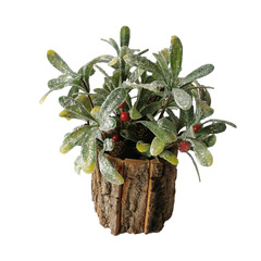 模擬緑の植物ムラーロ北欧スタイルの装飾品クロスボーダー模擬装飾品結婚式の家の装飾の装飾品卸売