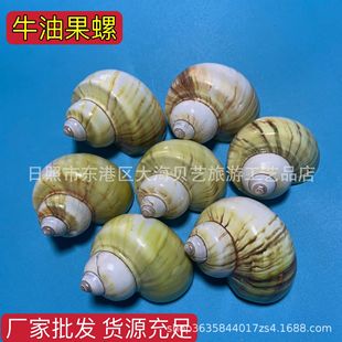 ţ�͹���Ȼؐ�����ݼľ�з��ؐ�~��Q���~��ˮ���쾰�bS�����l
