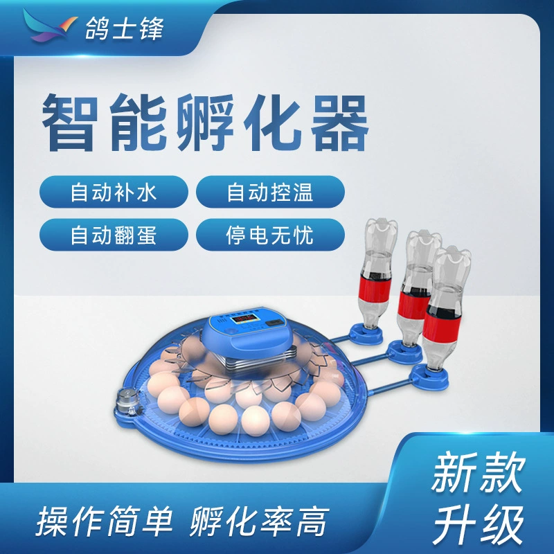 Небольшая летающая тарелка инкубатор рутин курица автоматический инкубатор для воды бытовой двухмощный инкубатор для птичьих яиц на заказ