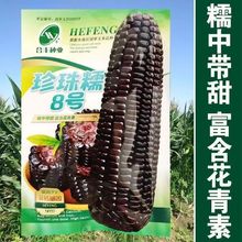 ����Ŵ8̖����Ŵ���׷N������Ŵ�rʳ���׷��D�����s�������׷N��