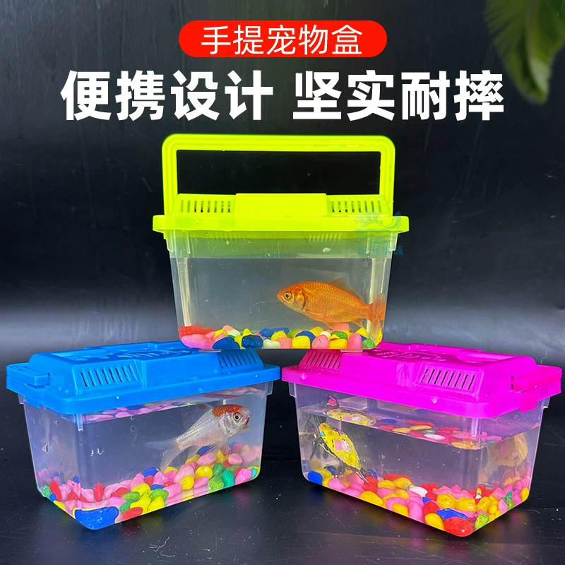 Портативный многоцветный устойчивый к падению ящик для черепах, маленький аквариум, парк, ночной рыночный киоск, прозрачный цветной детский ящик для альпинизма и хомяка для домашних животных