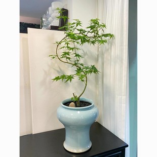 ��Ȫ�������҃��^�~���ͺ��B�׻��k����ǰ̨�W�tֲ��