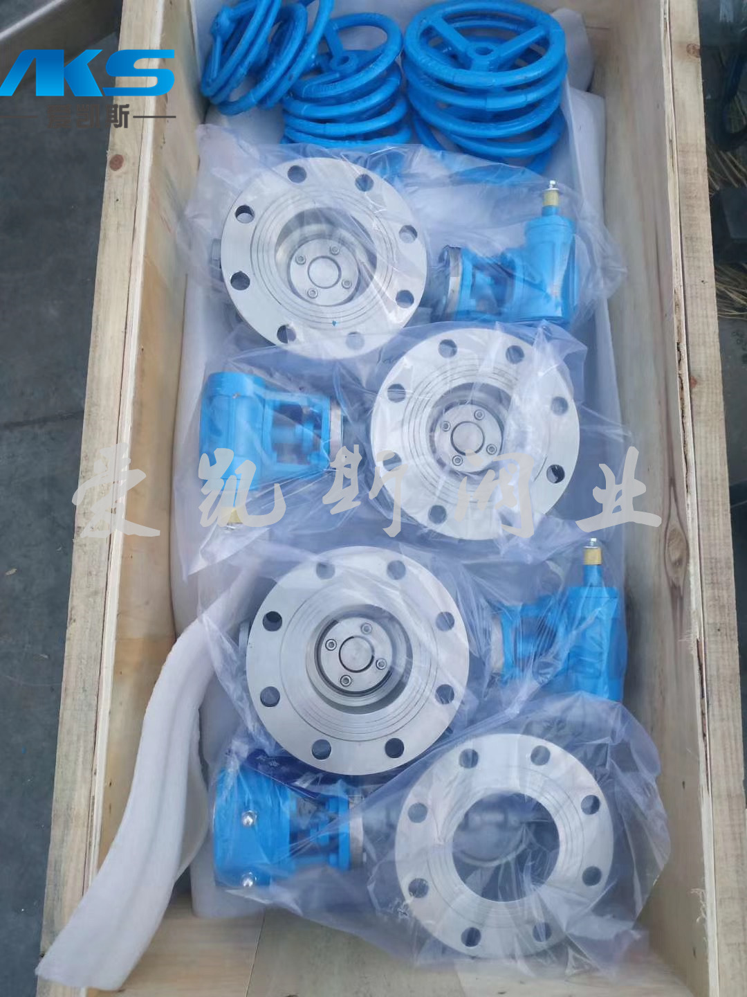 304/316CF3/CF8对夹不锈钢软密封碟阀碟阀D373W-10-16\P\R不锈钢