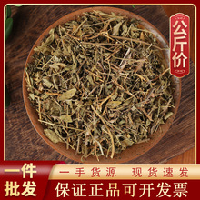 1000g瓜子金中药材现货批发零售新货源头 黄瓜仁草 瓜子草 辰砂草