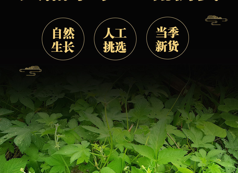 Jiao Gu Lan Tea 500g Dried Gynostemma Loose Herbal Tea for Daily Brewing key features