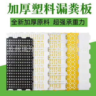 �i��©�S�����ϰ�ĸ�i�a���ذ屣����©�S�����ϵװ��Bֳ���i����