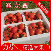�t�}Ů��С����С���t�����r����ˮ���a��ֱ�����l5��3���Q�����l