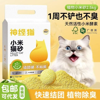 植物小米猫砂天然除臭猫沙瞬吸结团低尘幼猫猫砂猫咪用品可冲厕所