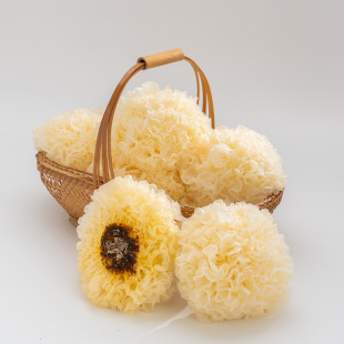 ��6�����r�y����S���������r�y���Fժ�F�l��ľ�����b��Ŵ���z