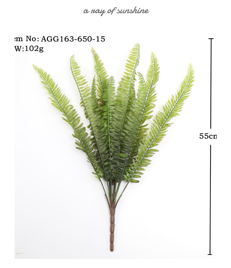 模特展示3 (2).jpg