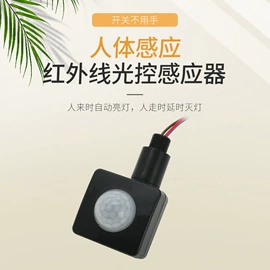 感应开关;灯头、灯座;灯控制器