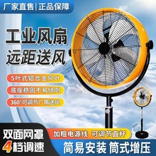 ���I��L�ȴ��͏���ţ���ȴ��ʴ��L�ȴ��L�����������AͲ�����