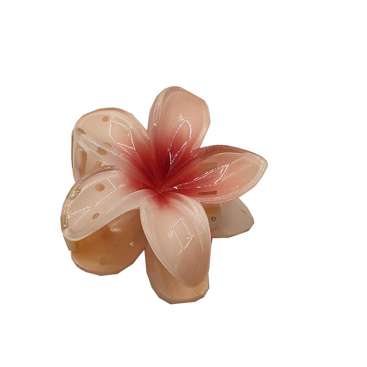 国境を越えたアマゾンの卵の花がグラデーションの花のキャンディー色の紫荊花の後頭部をつかんでサメの花を挟んで髪を伸ばします。|undefined