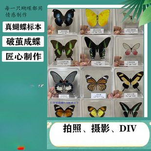 �����˱�������˱����x�˱������z����DIV�W���̌W͸�������b