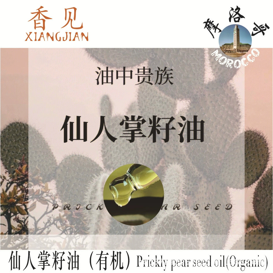 Масло кактуса марокканское органическое холодное отжим базовое масло Чистые глаза масло для ухода за кожей лица Массаж