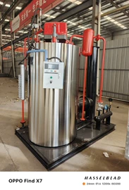 蒸汽发生器;燃气锅炉;燃生物质锅炉