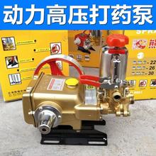 ����S���մ�����HL-60�������������r�Ç��F���rș�ñ��^��ș�C