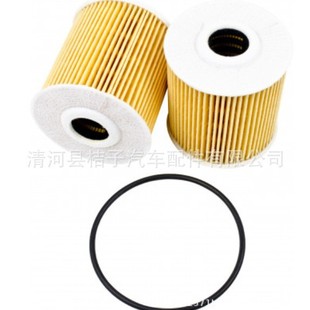 15208-ad200 for Nissan Automotive Oil Filter Clear River Oil Filter Element Factory Special Wholesale